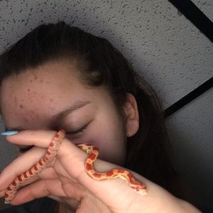 Meet your Posher, Rain